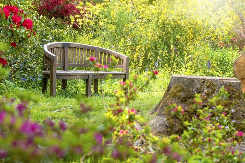 a wooden garden bench in a tranquil spring english garden with hazy sunshine