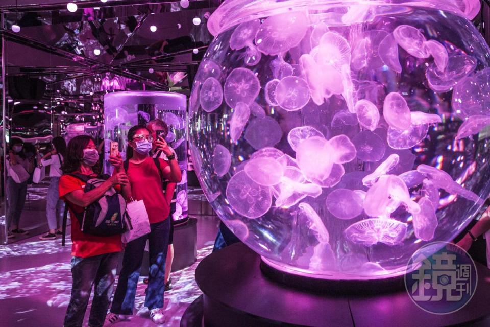 有別於國內水族館偏重教育意義，Xpark相當具娛樂性，海月水母搭配燈光變化呈現春夏秋冬景致。 