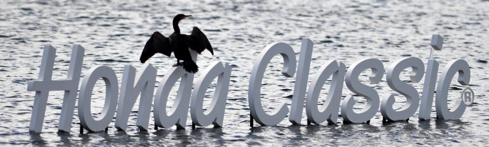 An anhinga rests on the Honda Classic sign off the 18th green during the first round of the Honda Classic at PGA National Resort and Spa in Palm Beach Gardens.