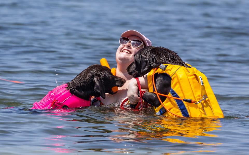The Binnix family brought the family dogs, Sunday and Sacha, to the water along Beach Drive on Friday to cool off. Lainey Binnix enjoys the attention from Sunday, left, and Sacha after the pair retrieved a floating stick in the water.