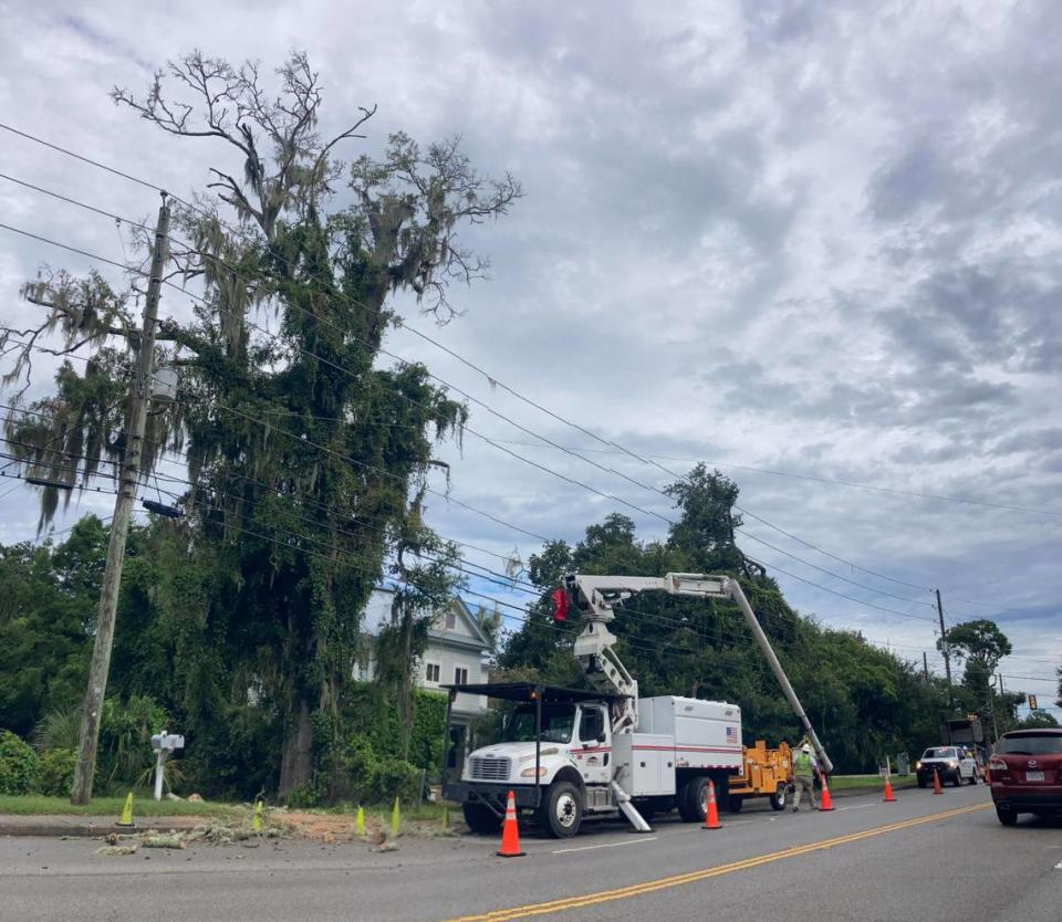 Dominion Energy removes a hazard tree at the corner of Depot and Riboad roads Tuesday morning in preparation of Hurrican Idalia, which is expected to reach South Carolina as a tropical storm.