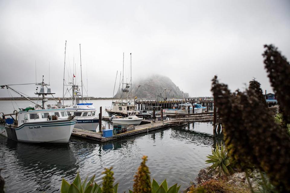 The Morro Bay Harbor, with Morro Rock in the background, is likely to get busier as wind projects ramp up.