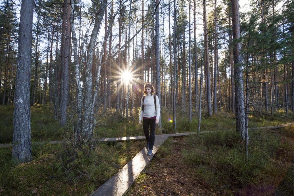 Le parc national de Nuuksio (Crédit : Getty Images)