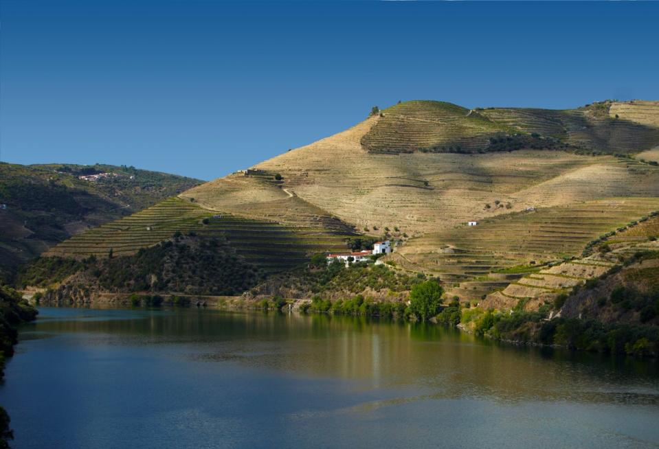 The Unesco-listed vineyard terraces of the dramatic Douro Valley (Vintage House Hotel)