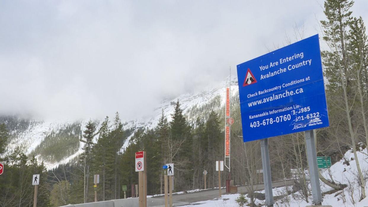 Avalanche danger risks are high this weekend with recent snowfall and warmer weather expected. (Dave Gilson/CBC - image credit)