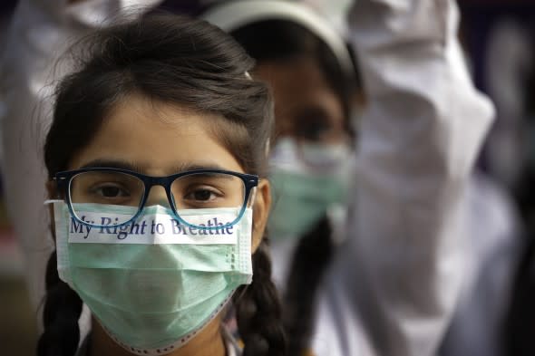 air pollution health protest india 12-2017