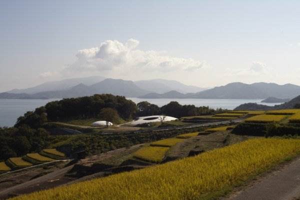 豐島美術館環境照。圖片來源：うどん県旅ネット