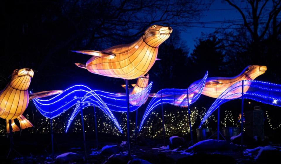 2) See the holiday lights at the Bronx Zoo.