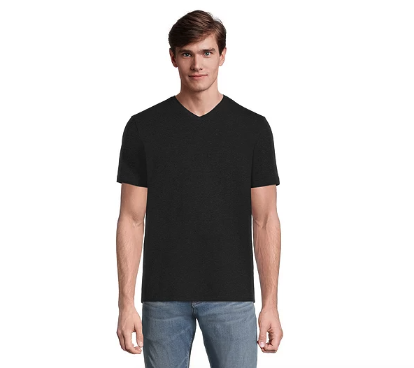 Denver Hayes Men's Stretch Modern Fit V-Neck T-Shirt. Image via Mark's.