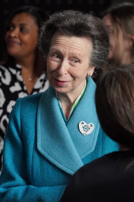 Princess Anne smiling in blue