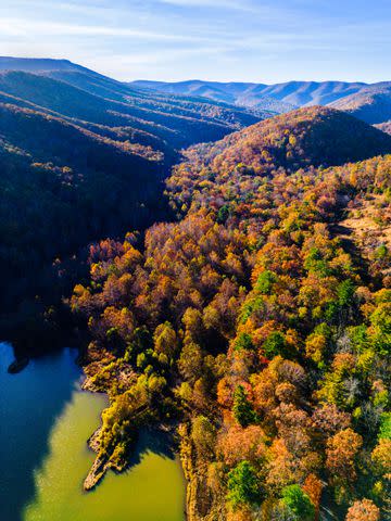 <p>Cedric Angeles</p> Hike or drive to Reddish Knob, the highest peak in Northern Virginia, to see autumnal color.