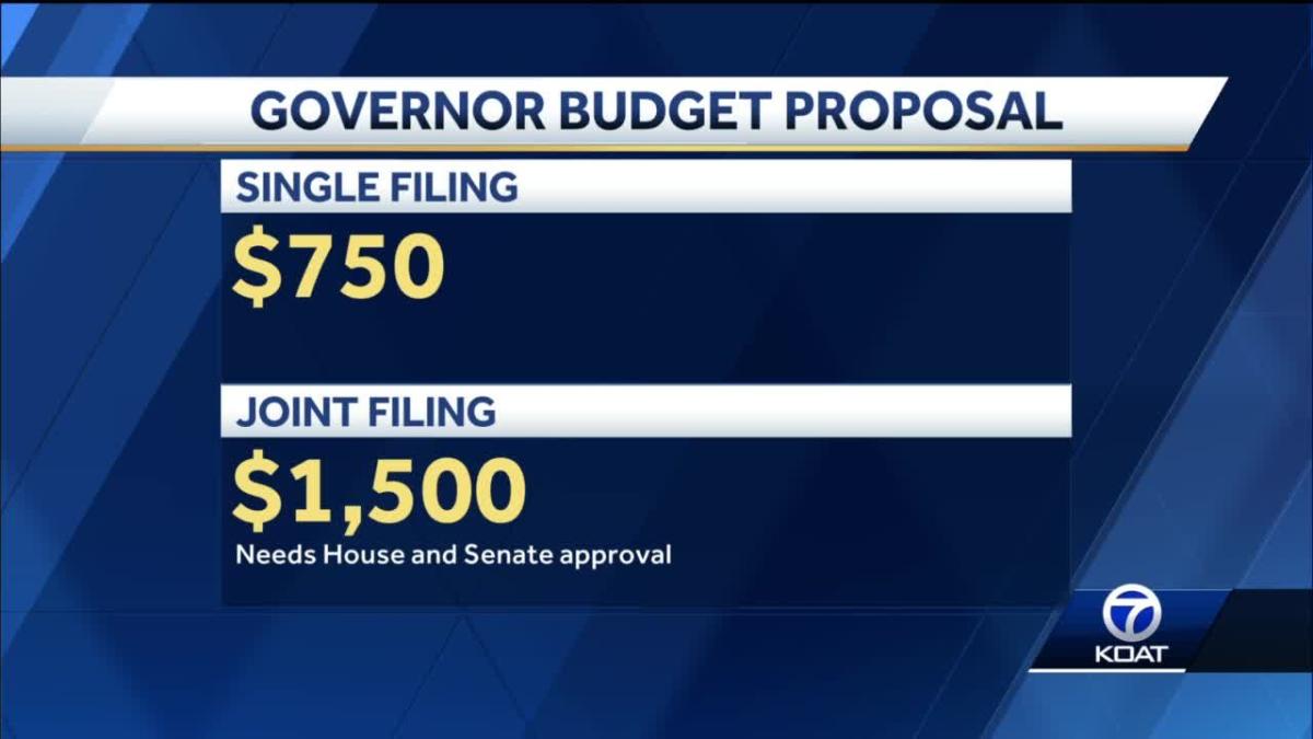 governor-issues-budget-proposal-with-tax-rebate-checks