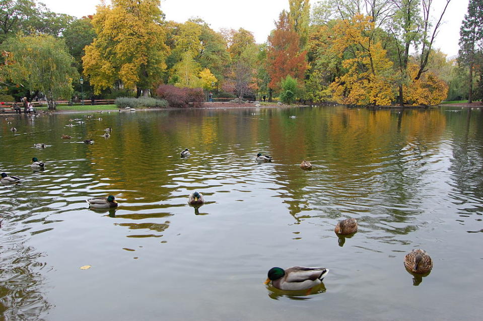 城市公園 (Photo by Cha già José from Vienna, Austria, License: CC BY-SA 2.0, Wikimedia Commons提供, 圖片來源www.flickr.com/photos/chagiajose/1851727443)