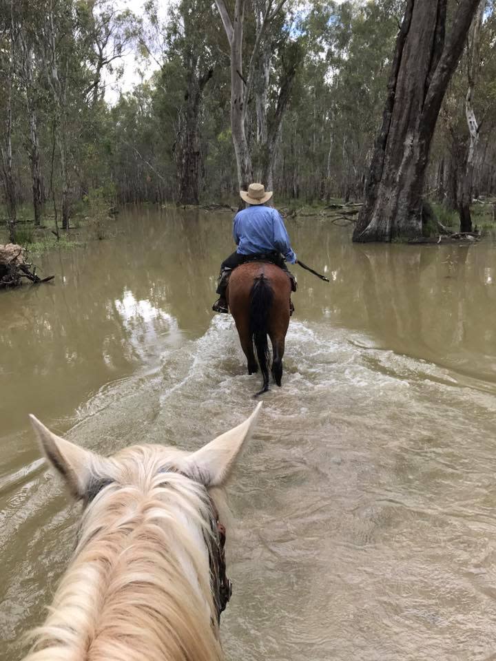 Locals ride horses through deep water at Barmah National Park. 