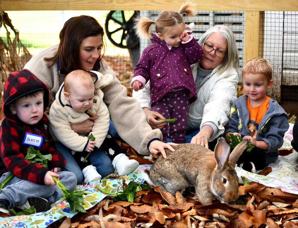 Families feel how soft a bunny is during a Books with Bunnies interactive multiage storytime at Chestnut Hill Farm in Southborough.
