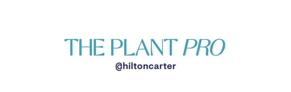 the plant pro hilton carter