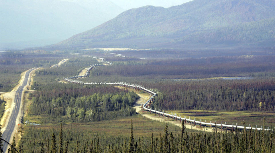 FILE - The trans-Alaska pipeline is seen next to the Dalton Highway north of Fairbanks, Alaska, Aug 10, 2005. Environmental groups have petitioned the U.S. Department of Interior to review climate impacts related to the decades-old trans-Alaska pipeline system. They're also asking the federal government to develop a plan for a "managed phasedown" of the 800-mile pipeline, which is Alaska's economic lifeline. (AP Photo/Al Grillo, File)