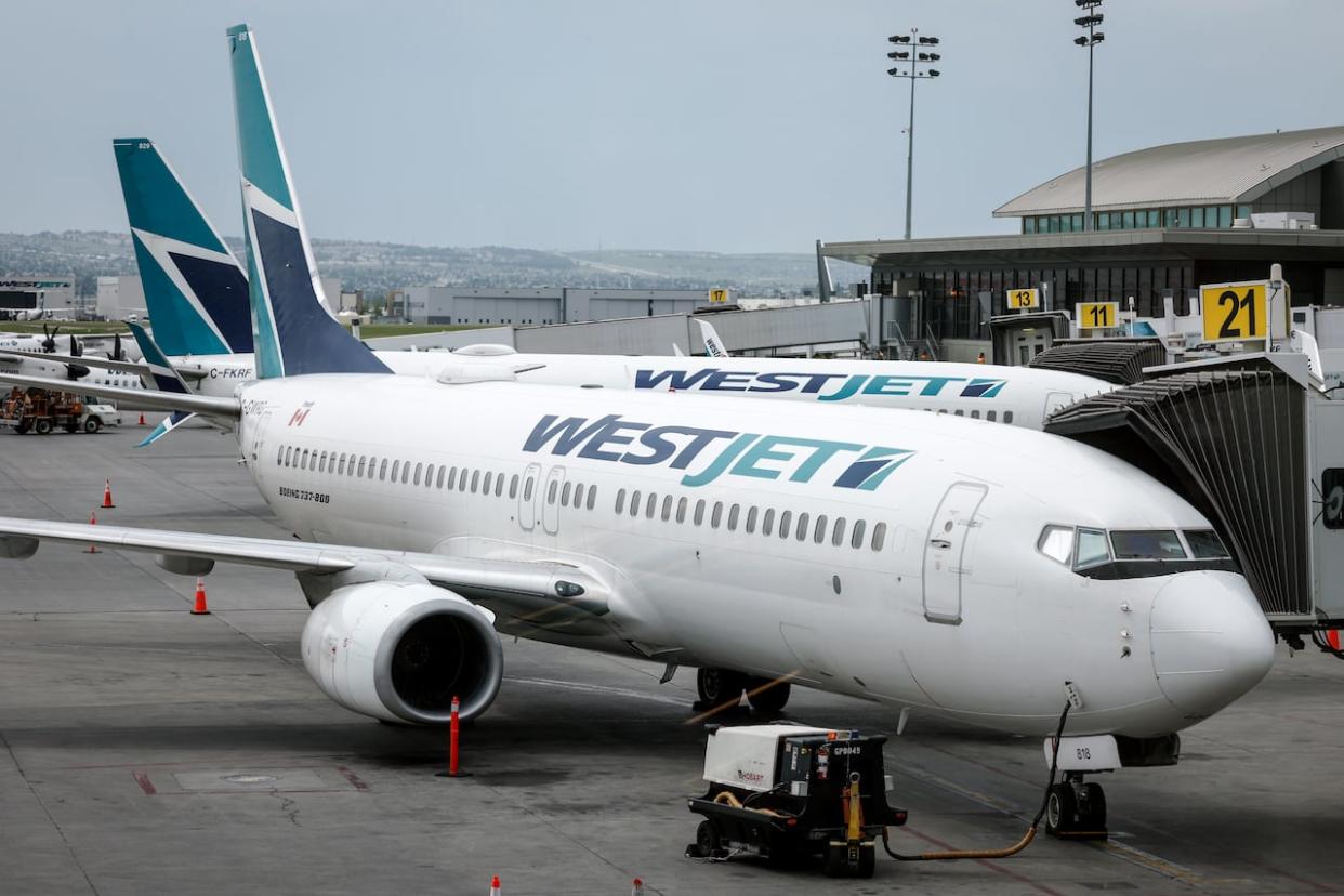 WestJet passenger jets parked at departure gates at the Calgary International Airport on Wednesday, May 31, 2023. (Jeff McIntosh/The Canadian Press - image credit)