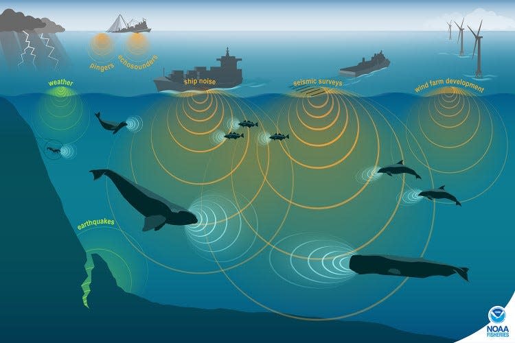 In this illustration by NOAA, sound waves from human activity interfere with whales and other marine animals that depend on sound to communicate and navigate.