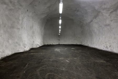 Empty storage room 2 at the international gene bank Svalbard Global Seed Vault (SGSV) near Longyearbyen on Spitsbergen, Norway, October 20, 2015. REUTERS/Anna Filipova