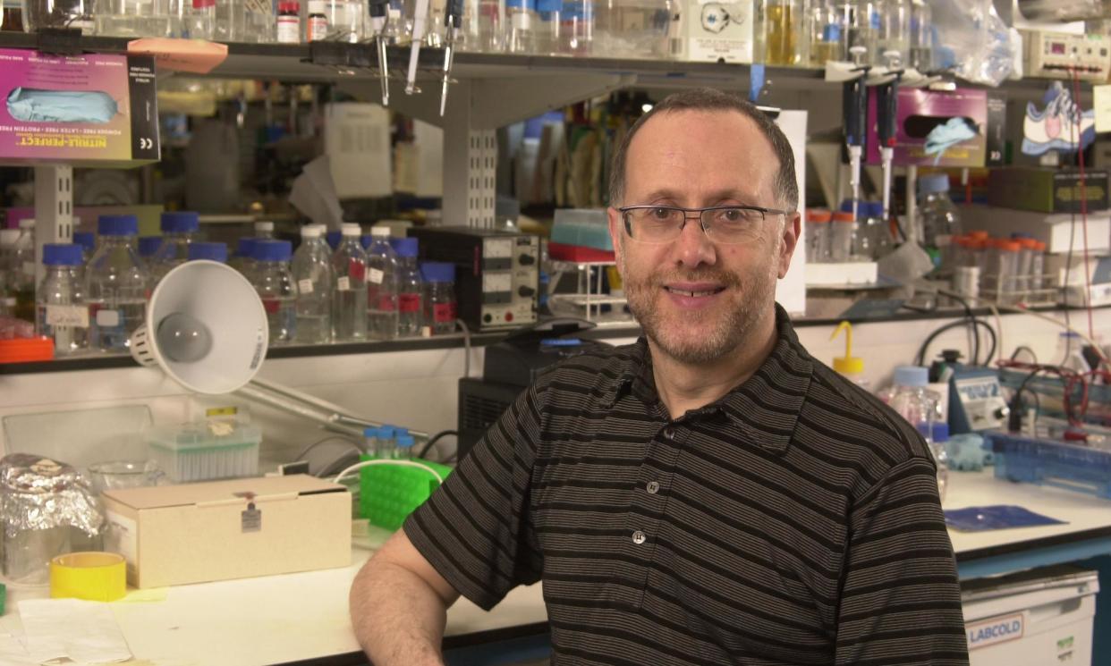 <span>David Ish-Horowicz in 2002 in his laboratory at Cancer Research UK’s London Research Institute labs at Lincoln’s Inn Fields</span><span>Photograph: none</span>