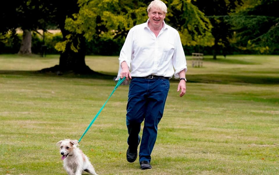 Andrew Parsons, the No10 photographer, took this picture of Mr Johnson with his dog, Dilyn - Andrew Parsons/No10 Downing Street