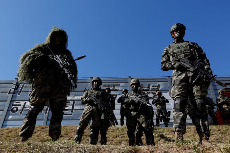 FILE PHOTO: South Korean marines in action