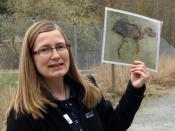 Geologin Yvonne Roeper zeigt ein Abbild des berühmten Urpferdchens, das in der Grube Messel gefunden wurde. Foto: Karin Willen