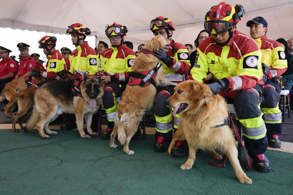 Bomberos asisten a un acto para homenajear a perros bombero retirados en Quito, Ecuador, el 20 de mayo de 2024. Los perros fueron adoptados por residentes en la capital. (AP Foto/Dolores Ochoa)