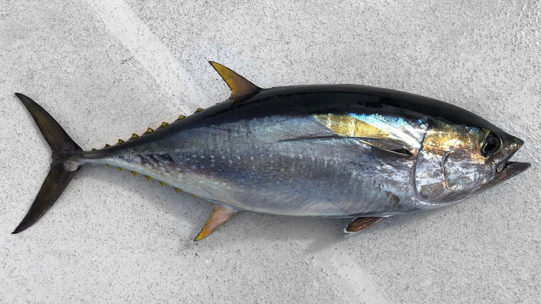 Yellowfin tuna