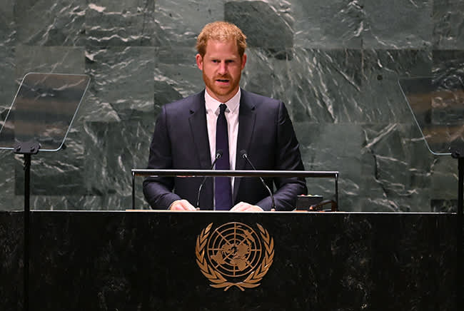 prince-harry-united-nations