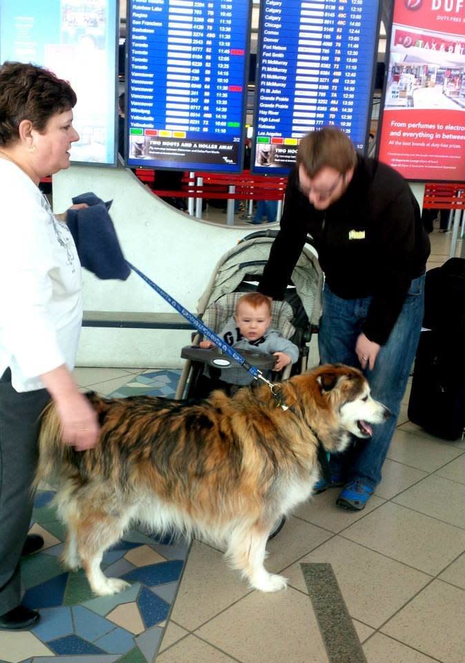 The Edmonton International airport has brought in dogs to help<a href="http://www.huffingtonpost.ca/2014/10/28/edmonton-airport-dogs_n_6062010.html?1414514529" target="_blank"> calm the nerves of anxious fliers</a>. 