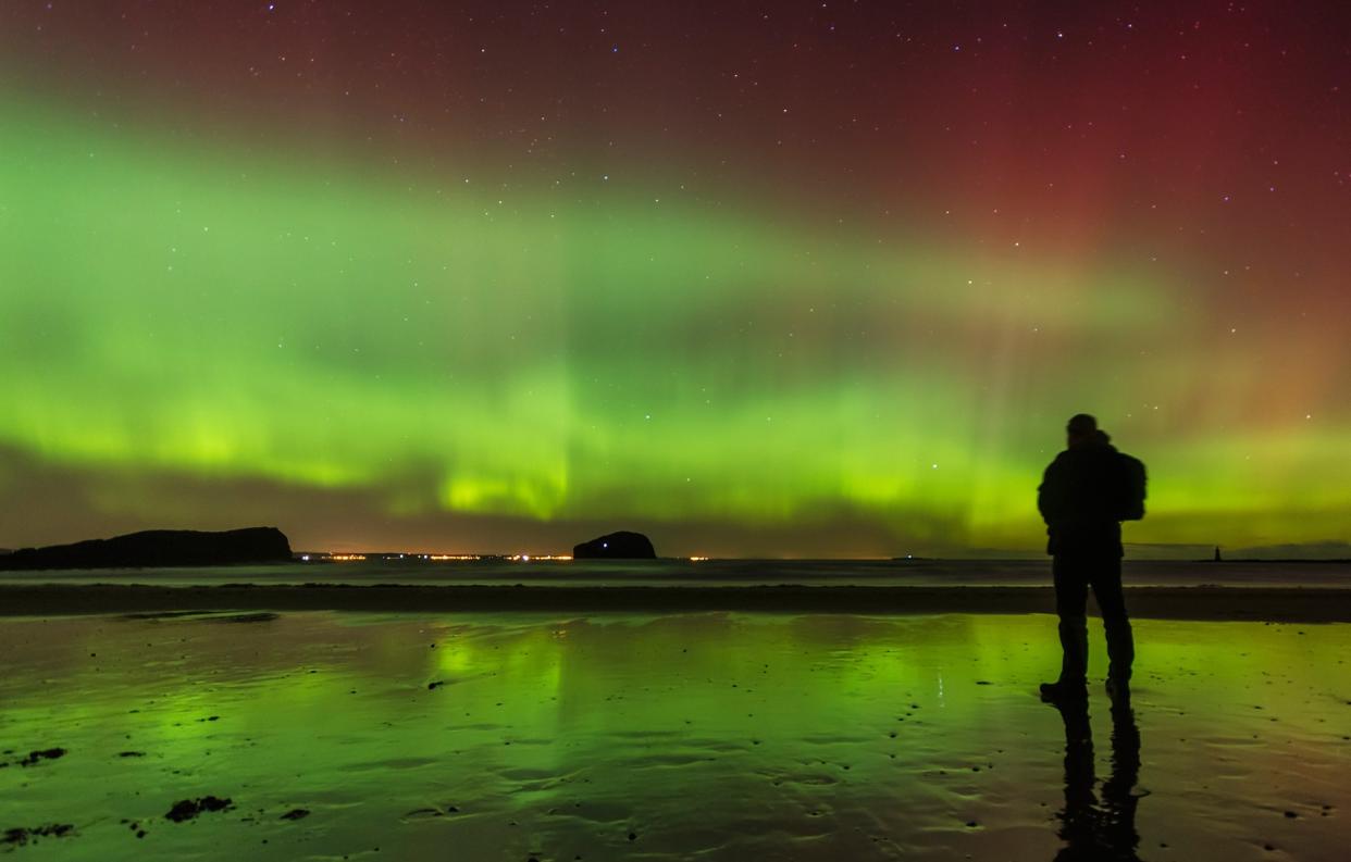 Coastal areas can offer the best viewing spots, such as Seacliff Beach in East Lothian - Westend61 / Scott Masterton