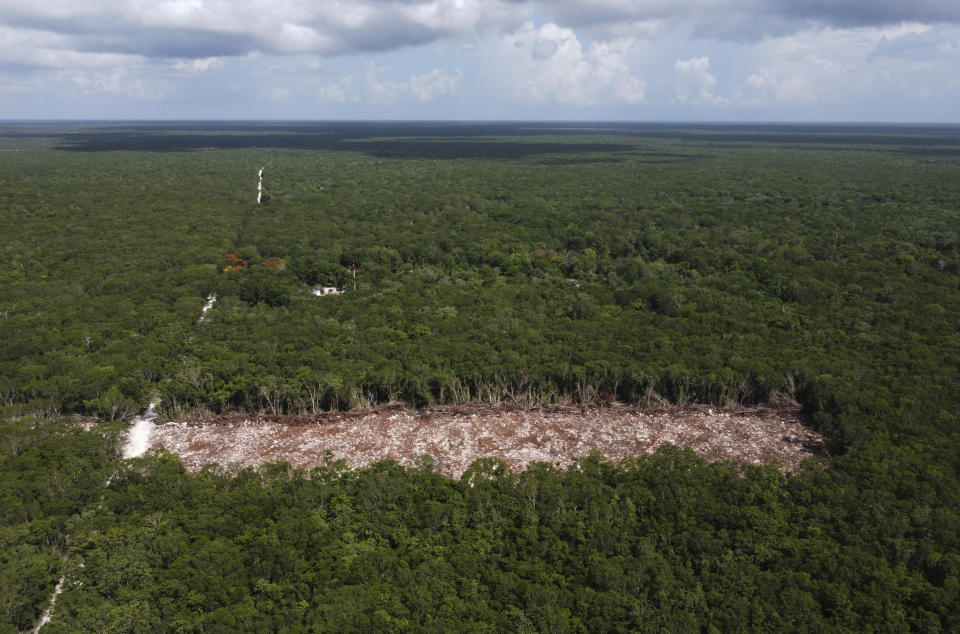 Una sección de bosque está vacía después de que fue despejada para la construcción del Tren Maya cerca de la comunidad Vida y Esperanza y que atraviesa un pequeño camino que conecta la comunidad con la carretera, en el estado de Quintana Roo, México, el viernes 5 de agosto de 2022. (Foto AP/Eduardo Verdugo)