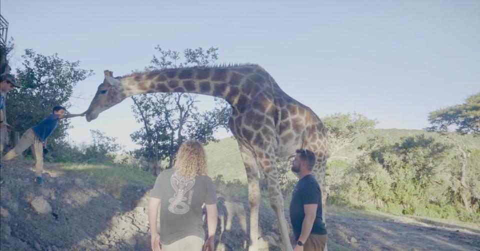 Whitley, right, with a giraffe in South Africa in 2022. (Oklahoma Chiropractic)