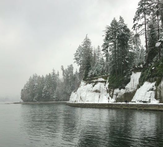 Stanley park seawall in the winter storm in B.C. Credit: Dennis Ding Feb 14 2020