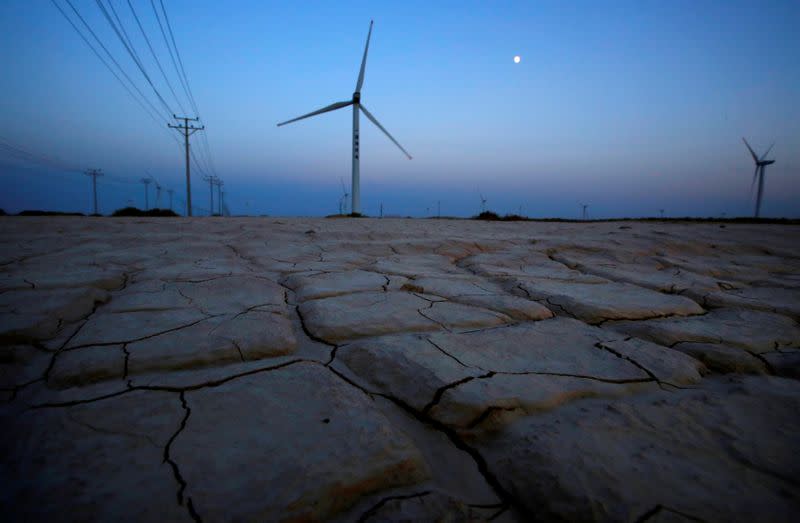 FILE PHOTO: Cracked earth marks a dried-up area near a wind turbine used to generate electricity at a wind farm in Guazhou, 950km (590 miles) northwest of Lanzhou, Gansu Province