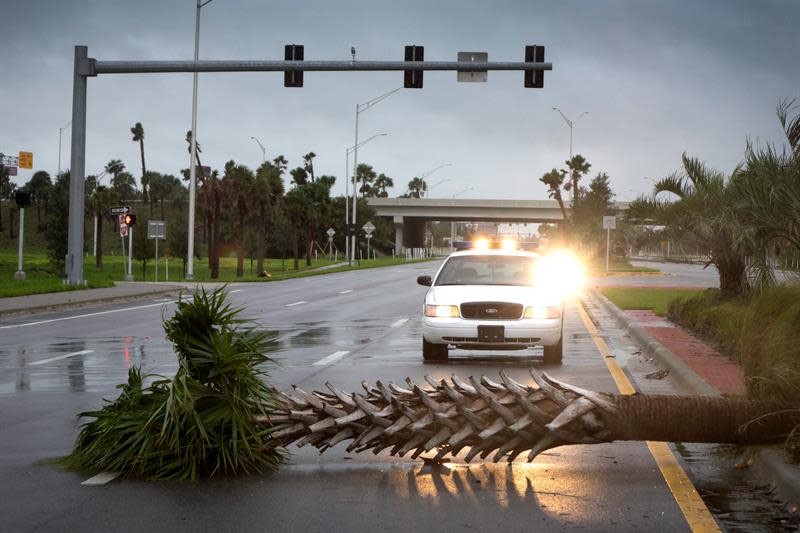 Una palmera derribada por efectos del huracán Matthew permanece caída cortando el carril de una carretera en Fort Piece, Florida. (EFE/Cristobal Herrera)