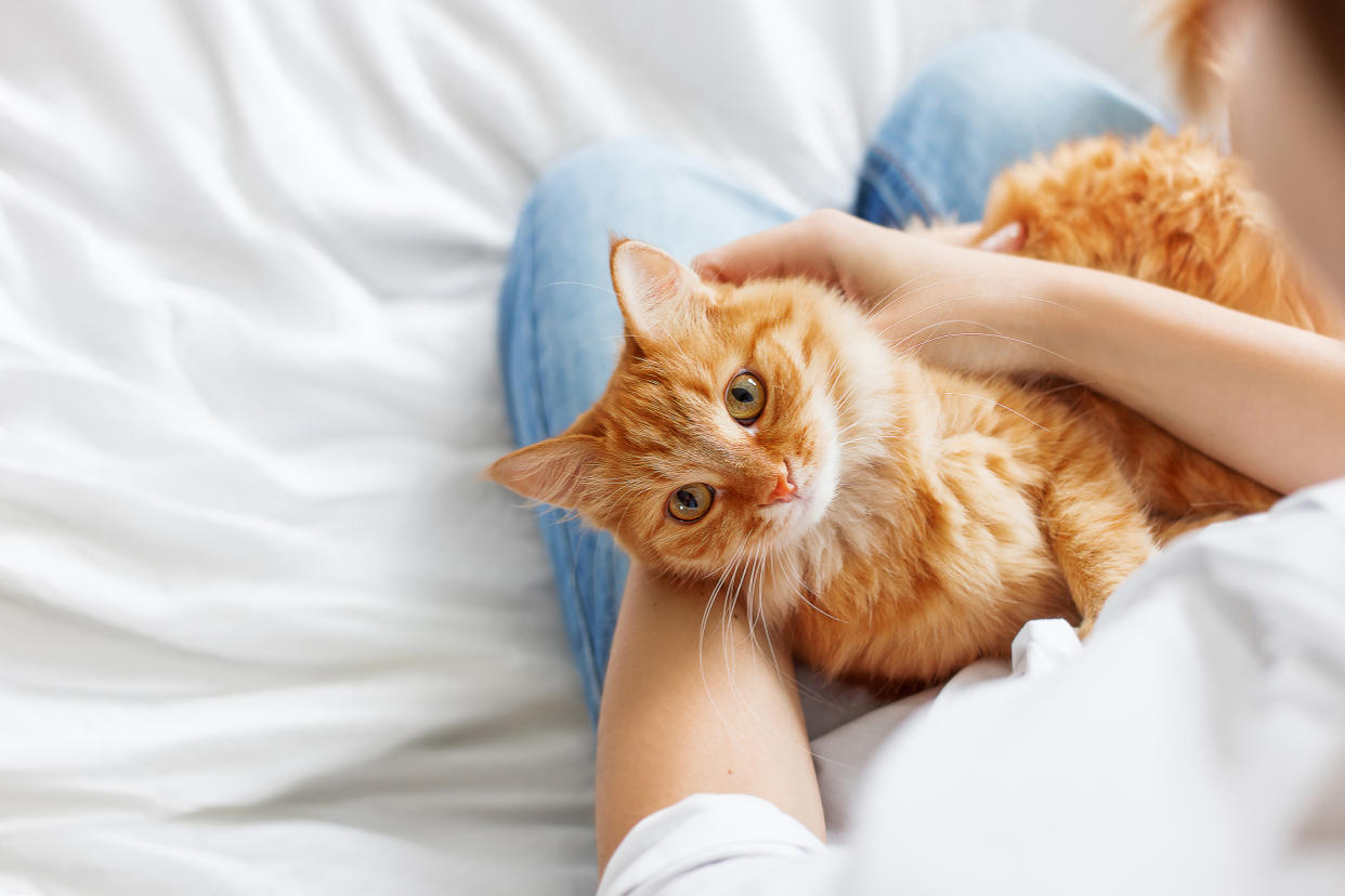 Todos los días es un buen momento para celebrar el cariño y la felicidad que te da tu mascota/Getty Creative