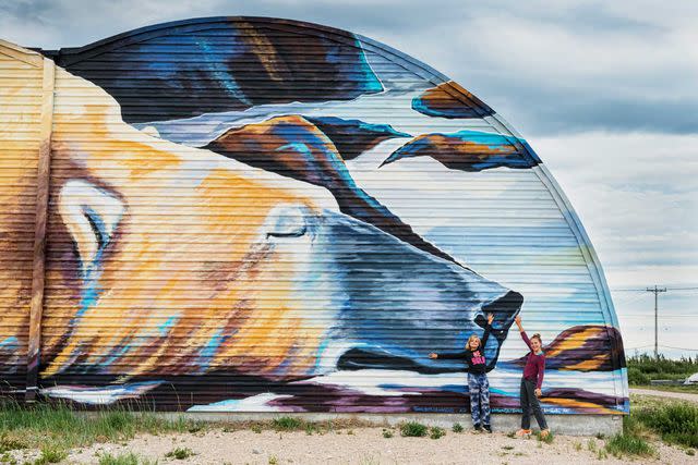 <p>Thomas Linkel/laif/Redux</p> The Polar Bear Holding Facility is one of several buildings in town that have been painted with large murals as part of Project Sea Walls. This one was painted by Canadian artist Kal Barteski.