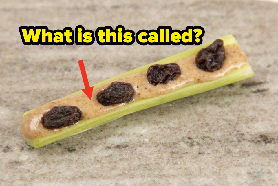 Ants on a log snack with text "What is this called?"