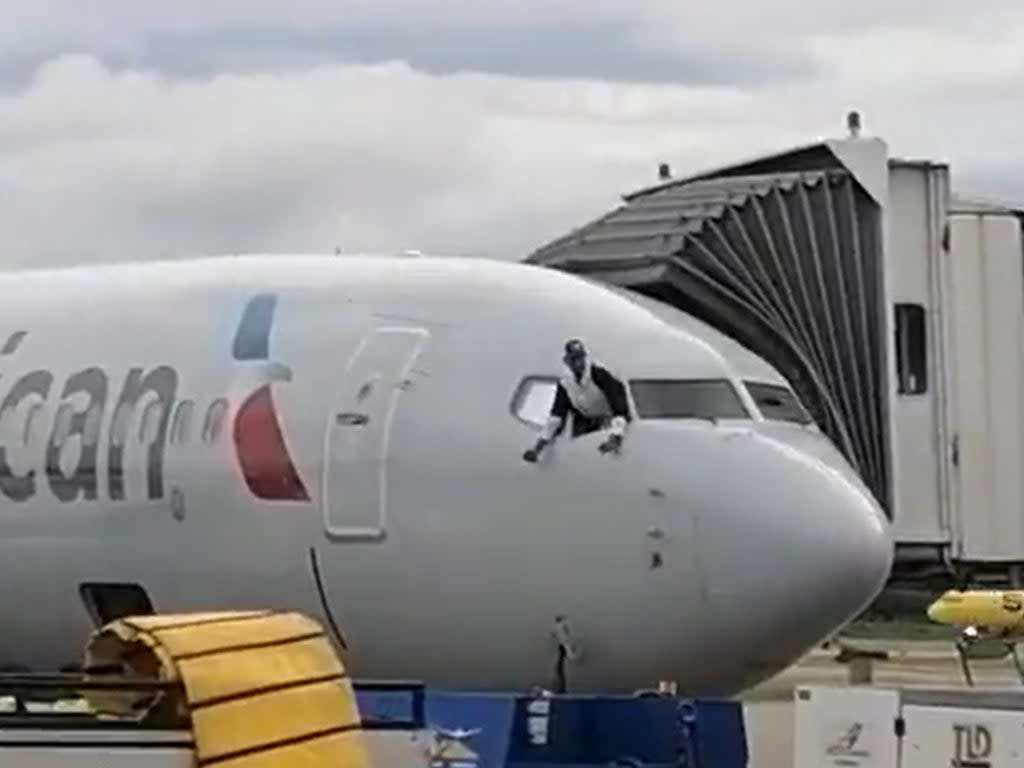 Passenger attempts to climb out of window on AA flight (Twitter/@ArielSierra)