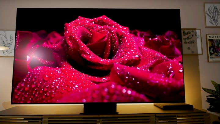 Dew rests on the petals of a deep red rose shown on a Samsung S95D OLED.