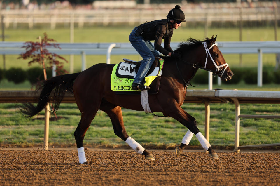 Fierceness is the early favorite for the 150th Kentucky Derby. (Photo by Andy Lyons/Getty Images)