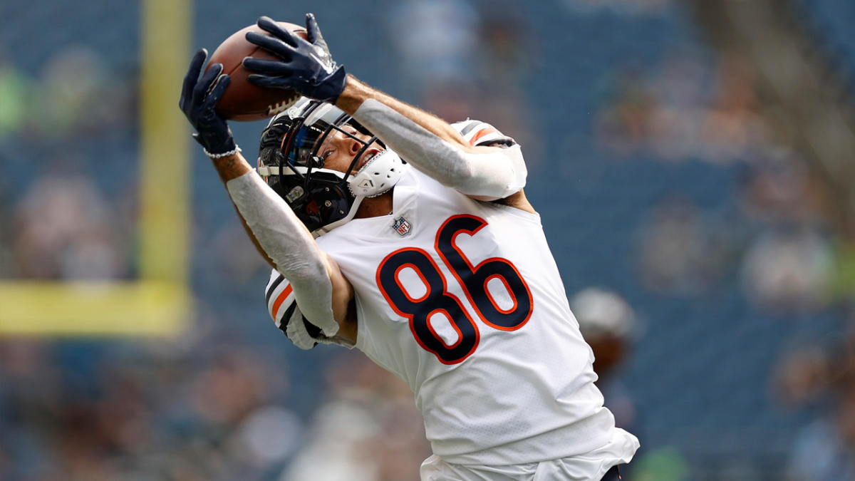 Dante Pettis Cut from Chicago Bears Wide Receiver Room in 2023 Season - BVM  Sports