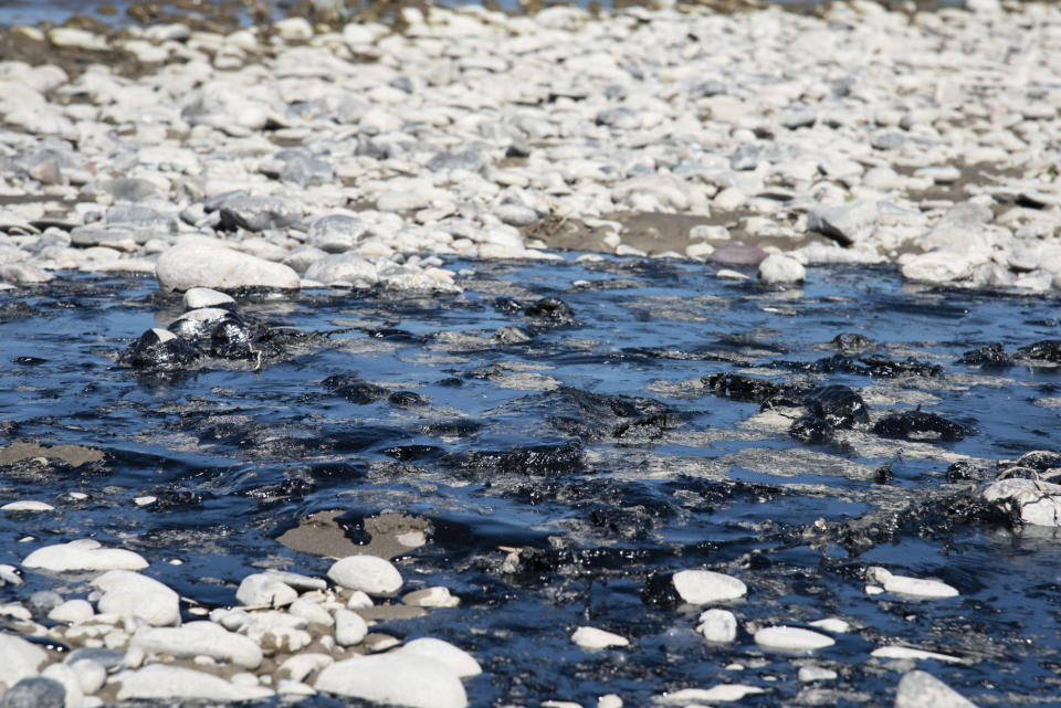 In this photo provided by Alexis Bonogofsky, petroleum products cover areas along the banks of the Yellowstone River near Columbus, Mont., July 1, 2023, following a freight train wreck last week in which tank cars fell into the river when a bridge collapsed. Officials with the Environmental Protection Agency said cleanup efforts began on Sunday, July 2, with workers cooling the asphalt binder with river water, rolling it up and putting the globs into garbage bags. (Alexis Bonogofsky via AP)