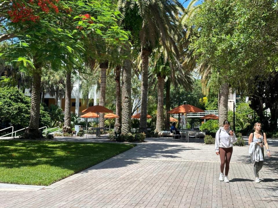 Un exuberante patio para estudiar y relajarse en el centro del campus, cerca de la escuela de negocios de la Universidad de Miami (UM), el 24 de julio de 2024.