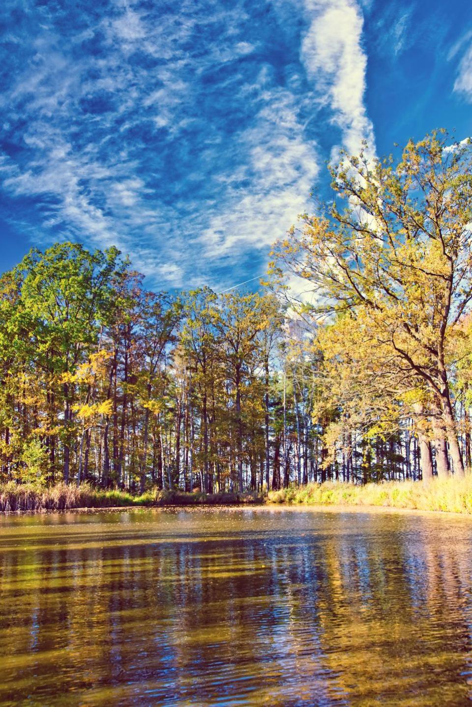 <p>A perfect autumn day in a forest-surrounded lake in Cyprus. // Date unknown<br></p>