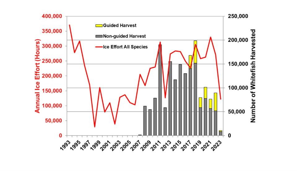 Data from Green Bay show the winter sport fishing effort and catch of lake whitefish. The catch dropped severely in the winter of 2022-23 due to poor ice conditions and is expected to be even lower this winter.