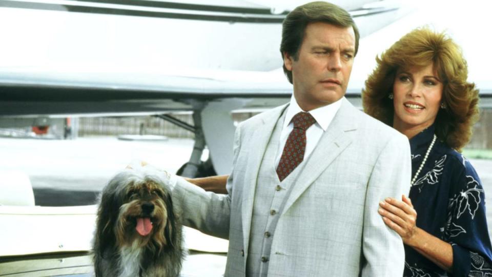 (Hart to Hart Cast) Robert Wagner as Jonathan Hart and Stefanie Powers as Jennifer Hart